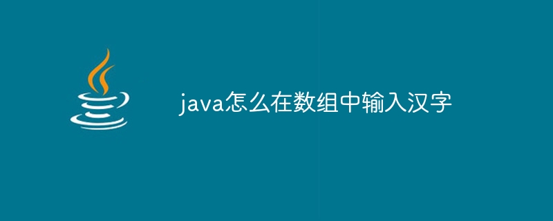 java怎么在数组中输入汉字