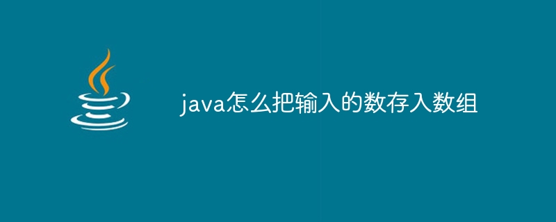 java怎么把输入的数存入数组