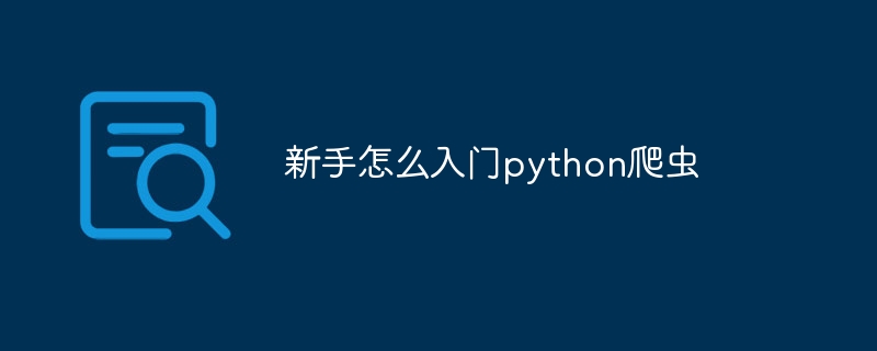 新手怎么入门python爬虫