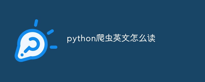 python爬虫英文怎么读