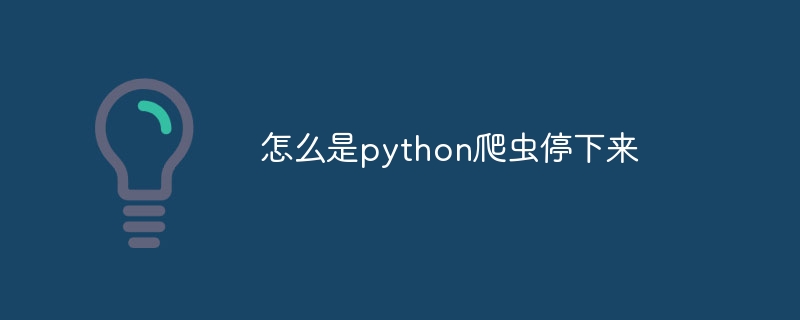 怎么是python爬虫停下来