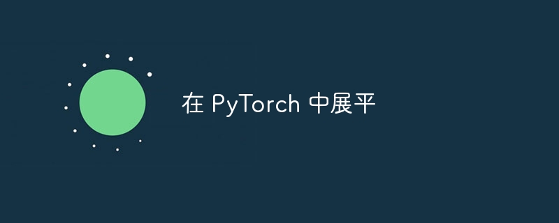 在 pytorch 中展平