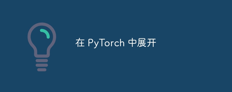 在 pytorch 中展开