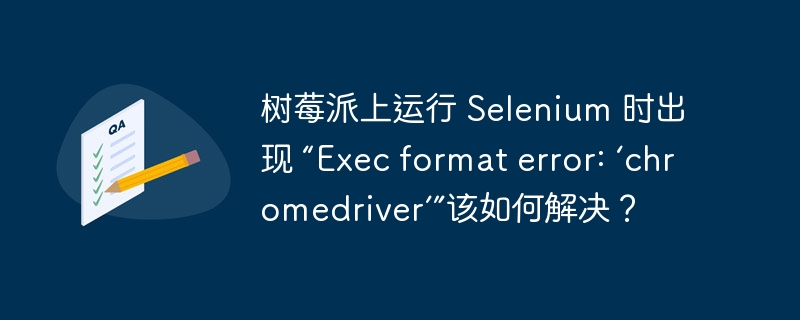 树莓派上运行 selenium 时出现 “exec format error: ‘chromedriver’”该如何解决？