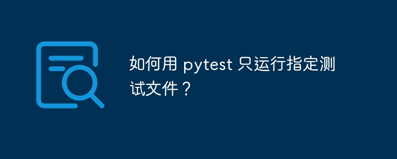 如何用 pytest 只运行指定测试文件？