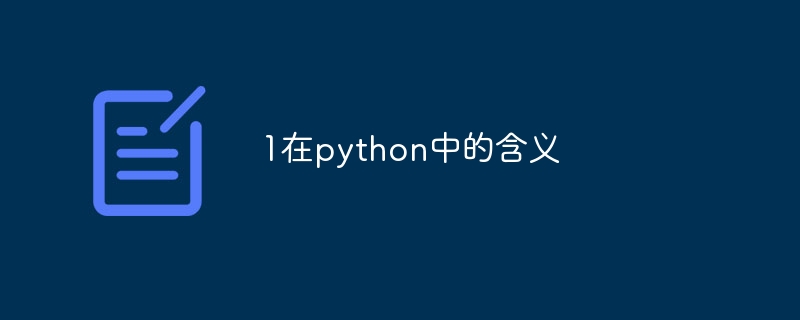 1在python中的含义