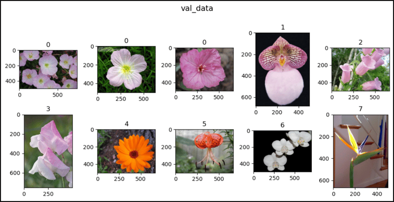 PyTorch 中的花朵