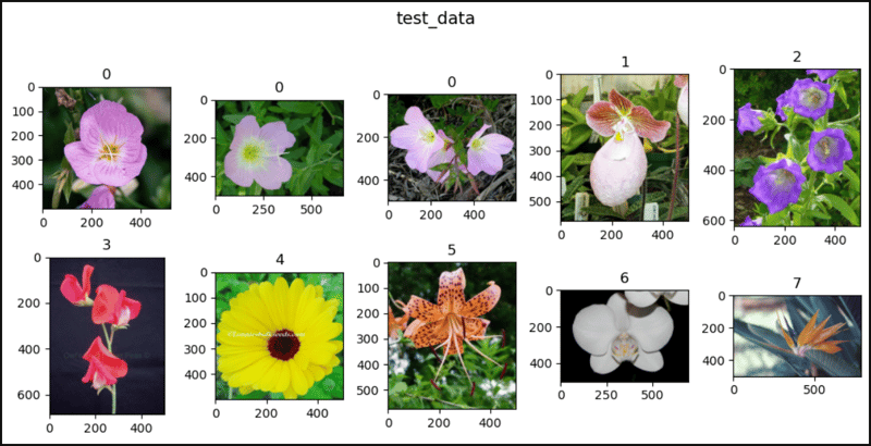 PyTorch 中的花朵